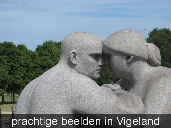 Noorse Fjorden juni 2008 068