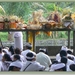 Ceremonie in Carangsari