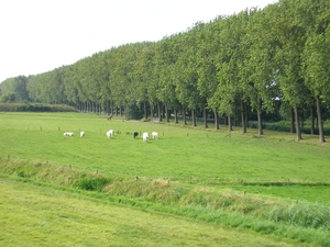 fietsen in Dordrecht 016