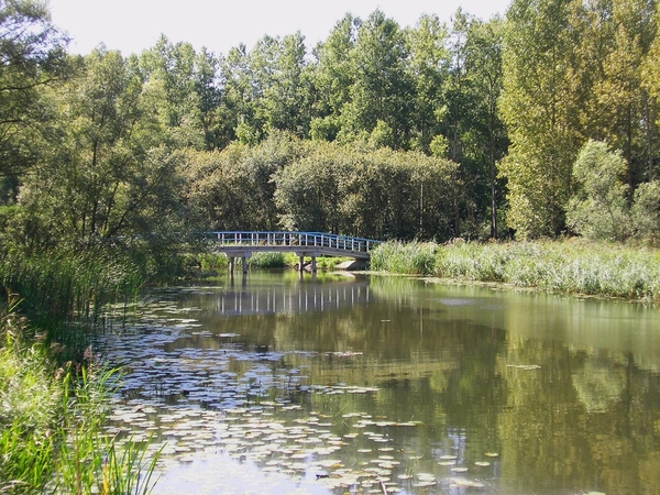 fietsen in Dordrecht 041