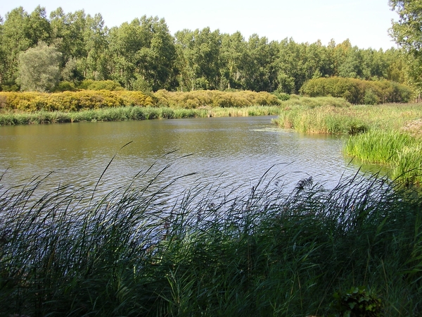 fietsen in Dordrecht 045