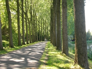 fietsen in Dordrecht 046