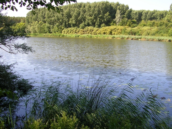 fietsen in Dordrecht 047