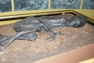 DSC00593