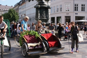 DSC00950