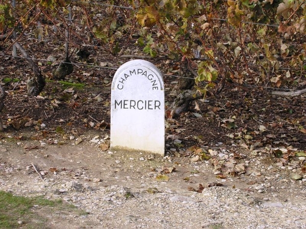 Champagnestreek Oktober 2009 016