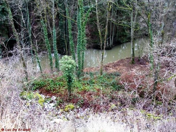 Ardennen wandeling Adeps Romedenne