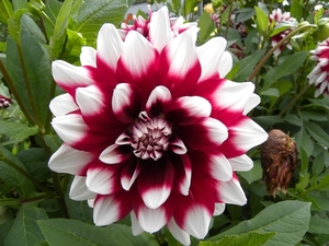 DSCN0315