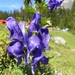 DSCN0398
