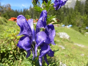 DSCN0398