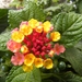 DSCN0429