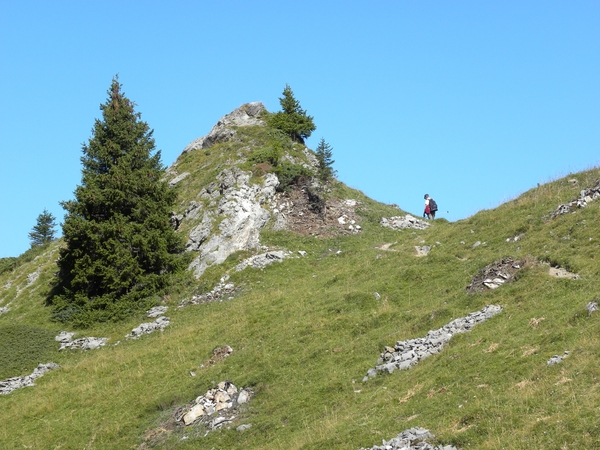 DSCN0499