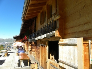 DSCN0505