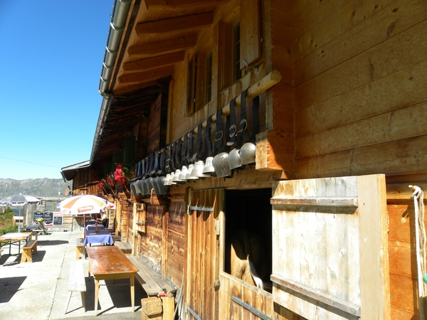 DSCN0505