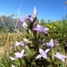 DSCN0512
