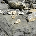 DSCN0662