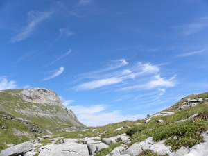 DSCN0682