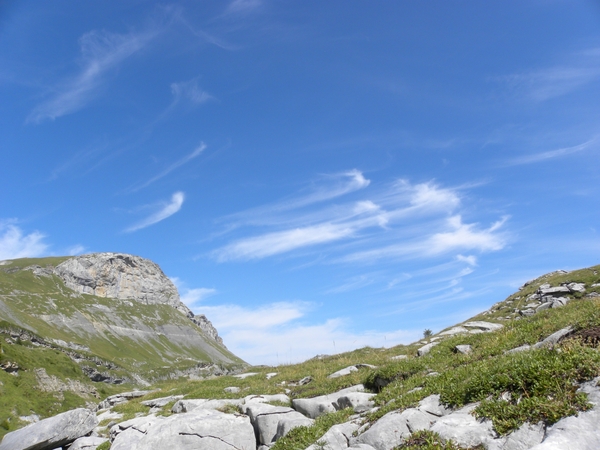 DSCN0682