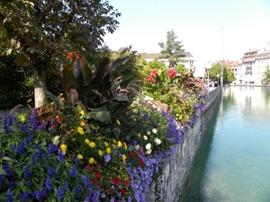 DSCN0740