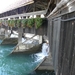 DSCN0746