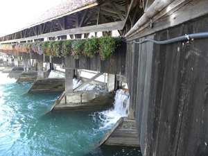 DSCN0746