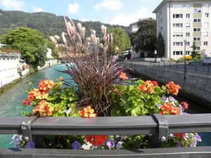 DSCN0781