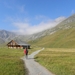 DSCN0808