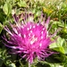 DSCN0819