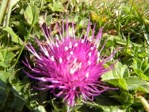 DSCN0819