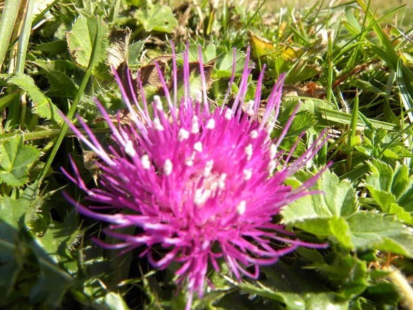DSCN0819