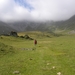 DSCN0824