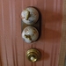 DSCN0936