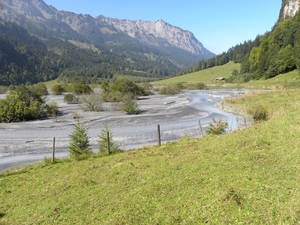 DSCN0982