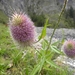 DSCN9679