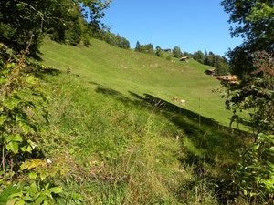 DSCN9716