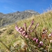 DSCN9759