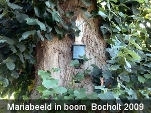 Fietsvakantie in Bocholt