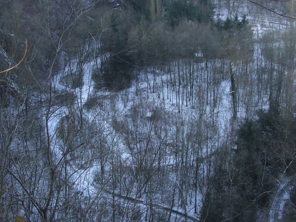 2009_03040166
