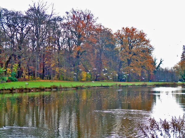 Meise,Plantentuin,Lente,Zomer,Herfst,Winter,Seizoenen