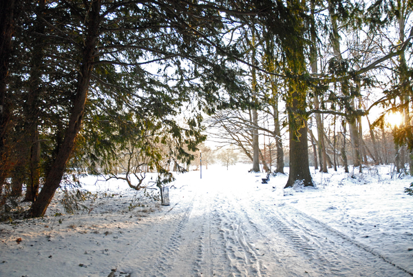 Meise,Plantentuin,Lente,Zomer,Herfst,Winter,Seizoenen