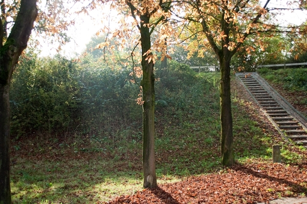 landschappen, herfst, wijk bij duurstede, utrecht, nederland