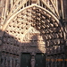 kathedraal Straatsburg