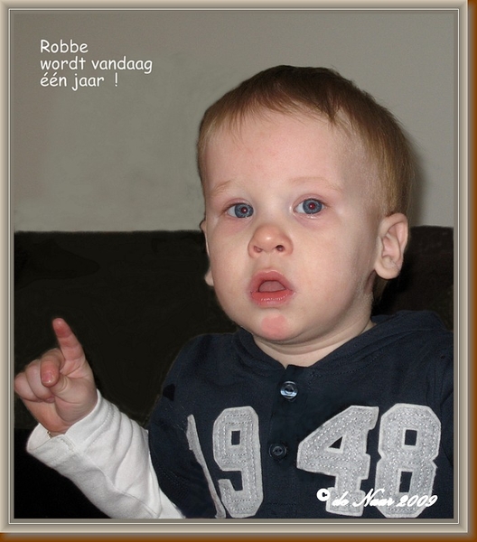 web_IMG_3001-2Robbe 1 jaar 1684x1932 1684x1932.bmp