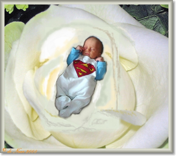 web_IMG_0192_editedRobbe in roos