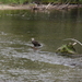 P5130067