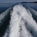 P5160245