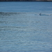 P5170255