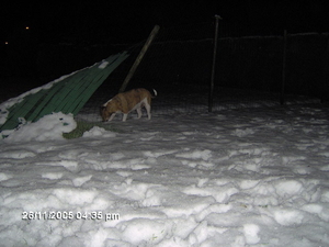 door zware sneeuwval afsluiting afgebrokken