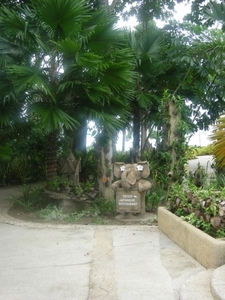DSCN1305