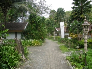 DSCN1307